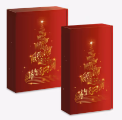Geschenkbox rot Weihnachten