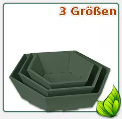 Geschenkkarton grün oliv - 6 eckig